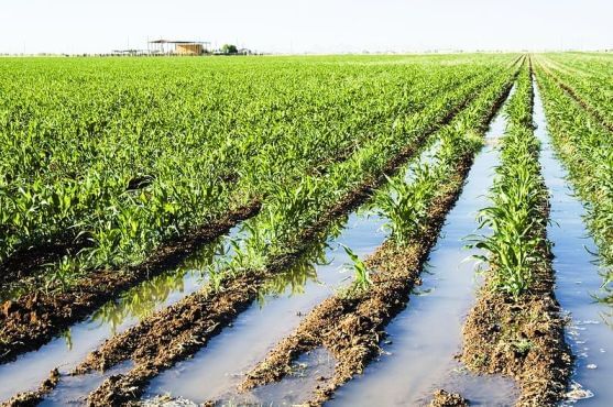 રાજ્યના ખેડૂતો માટે માઠા સમાચાર, વાદળછાયા વાતાવરણ સાથે કમોસમી વરસાદની આગાહી