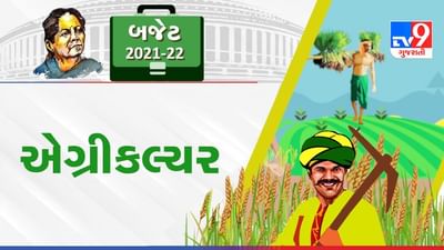 બજેટ 2021 એગ્રીકલ્ચર : કૃષિ ધિરાણનો લક્ષ્યાંક 16.5 લાખ કરોડ, 5 મોટા ફિશિંગ હાર્બર બનશે