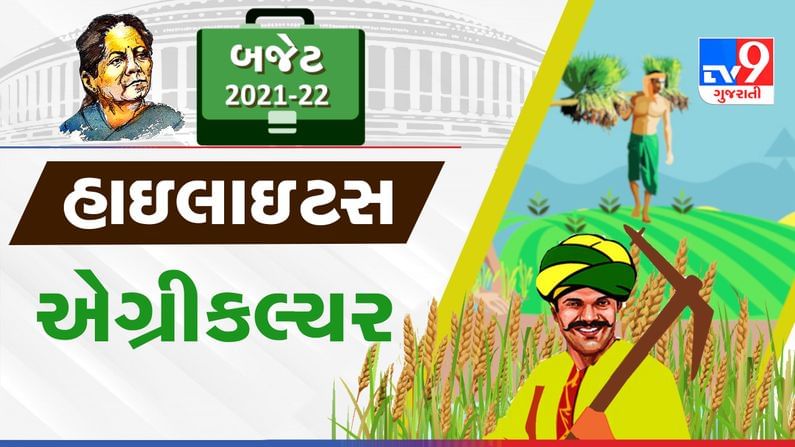 Budget 2021 Agriculture: ખેડૂતો માટે 75 હજાર 100 કરોડ રૂ.ની ફાળવણી, દેશમાં 5 મોટા કૃષિ હબ બનશે