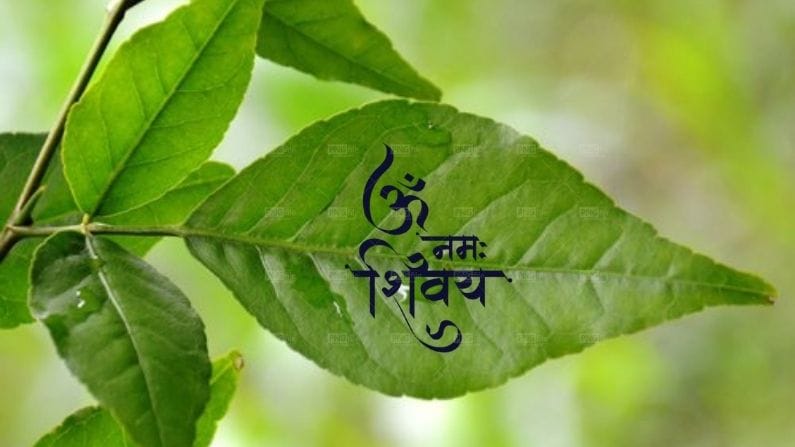 આ વિધિથી શિવજીને ચઢાવો બીલીપત્ર, મનોકામના ચોક્કસ થશે પૂર્ણ !