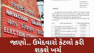 સ્થાનિક સ્વરાજ્યની ચૂંટણી માટે ઉમેદવારોના ખર્ચની મહત્તમ મર્યાદા નક્કી કરાઈ, જાણો વિગતો