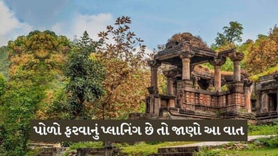 પોળો ફોરેસ્ટની અંદર નહીં લઇ જઈ શકાય ફોર વ્હીલર, ટૂ વ્હીલરને અપાઈ છૂટ