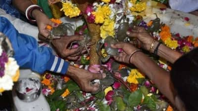 અહીં મહાદેવ પર થાય છે જીવતા કરચલાનો અભિષેક!