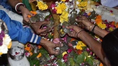 અહીં મહાદેવ પર થાય છે જીવતા કરચલાનો અભિષેક!