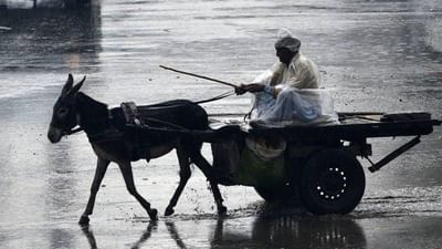 આર્થિક ભીખારી બનવાની કગારે પહોચેલા Pakistanની મદદે આવ્યા દેશનાં ગધેડા, જાણો કઈ રીતે