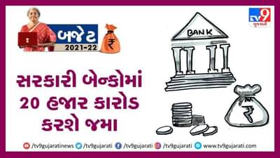 Budget 2021 સરકારી બેન્કોને 20 હજાર કરોડ ફાળવાશે, ડુબેલા નાણા માટે મેનેજમેન્ટ કંપની રચાશે