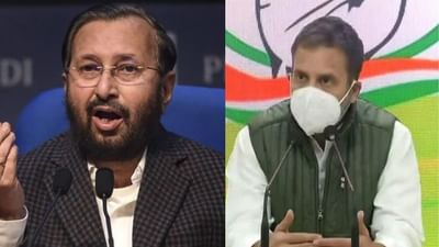 Rahul Gandhiના તાનાશાહ વાળા નિવેદન પર ભાજપનો પલટવાર, જાવડેકર બોલ્યા- તમે નહીં સમજો