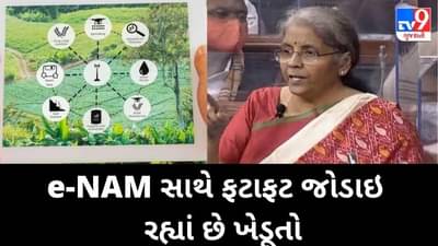 શું છે e-NAM જેનો બજેટમાં નિર્મલા સીતારમણે ઉલ્લેખ કર્યો, ફટાફટ જોડાઇ રહ્યાં છે ખેડૂતો