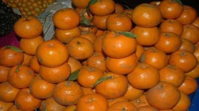 Contract farming : હરિયાણામાં ખેડૂતો થઈ રહ્યાં છે માલામાલ, ખેડૂતોએ કર્યો 700 કરોડનો કરાર