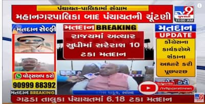 Porbandar Panchayat, Nagar Palika Polls Voting Today LIVE: પોરબંદર સાસંદ રમેશ ધડુકે કર્યું મતદાન, કહ્યું વિકાસનાં મુદ્દે ભાજપ બહુમતિથી જીતશે