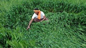 Gujarat Budget 2021: બજેટમાં કૃષિ વિભાગને ઓછી ફાળવણી થતાં ખેડૂતોમાં આક્રોશ