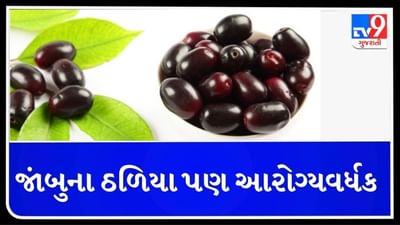 HEALTH : જાંબુના ઠળિયા પણ આ બિમારીઓમાં અસરકારક, જાણો કેવી રીતે કરશો ઉપયોગ