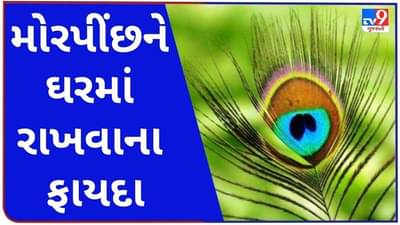 Vastu Tips : ઘરમાં મોર પીંછ રાખશો તો ક્યારેય નહીં થાય પૈસાની સમસ્યા