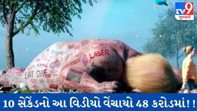 10 સેકેંડનો Video 48 કરોડમાં વેચાયો, જાણો શું છે ખાસ આ વિડીયોમાં