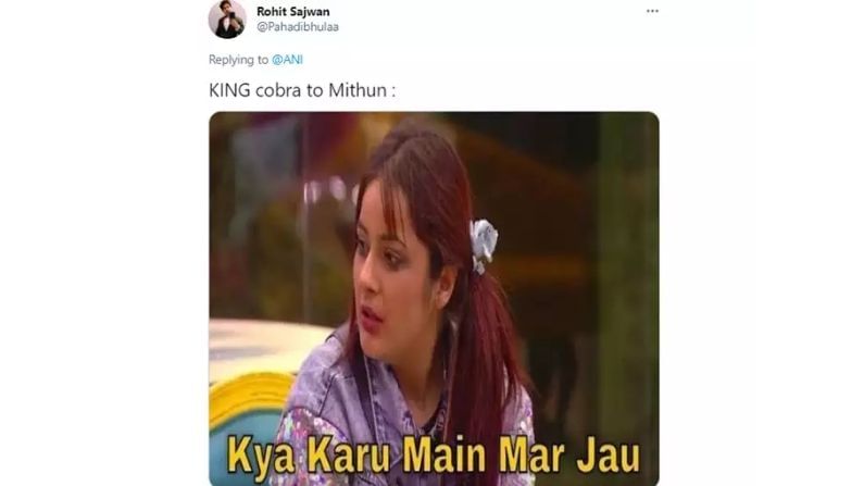 Mithun chakraborty cobra memes