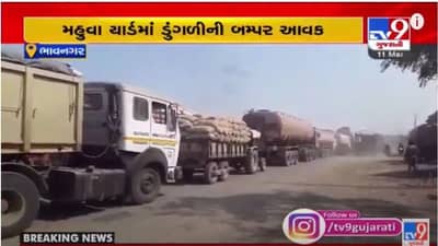 Bhavnagar  :  મહુવા યાર્ડમાં ડુંગળીની બમ્પર આવક, વાહનોની 5 કિ.મી. લાંબી લાઈન