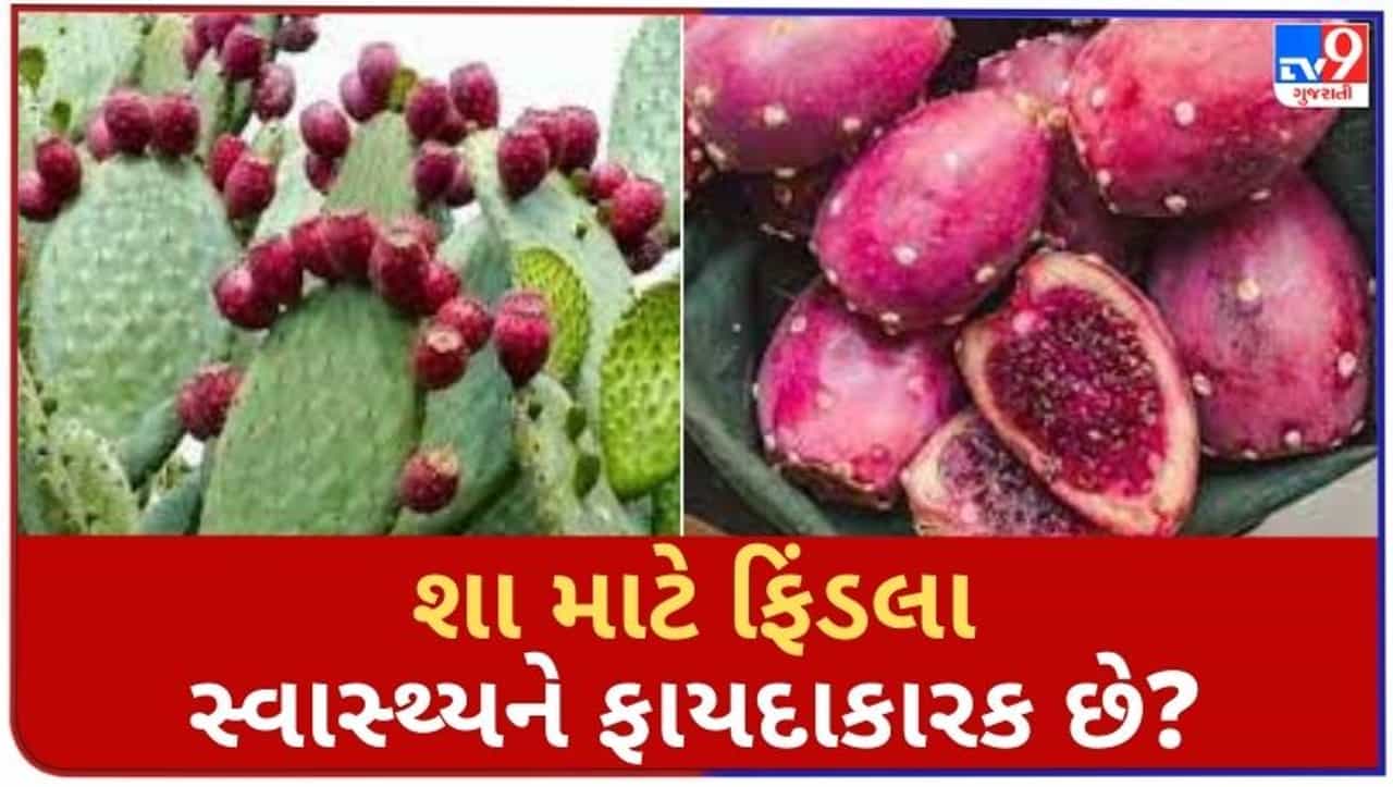 શુ તમે જાણો છો આ ફળ વિશે ? અનેક રોગને જડમૂળથી દૂર કરે છે આ ચમત્કારીક ફળ