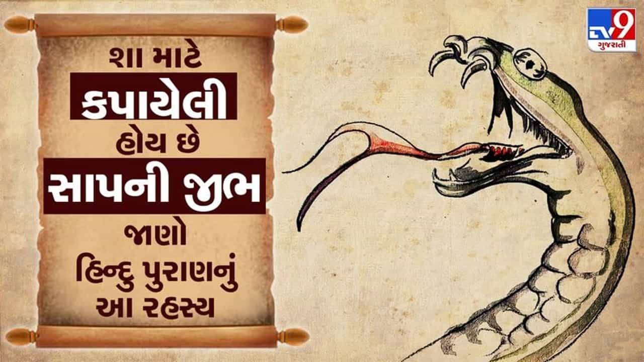 Bhakti : શા માટે કપાયેલી હોય છે સાપની જીભ? જાણો હિન્દુ પુરાણનું આ રહસ્ય!