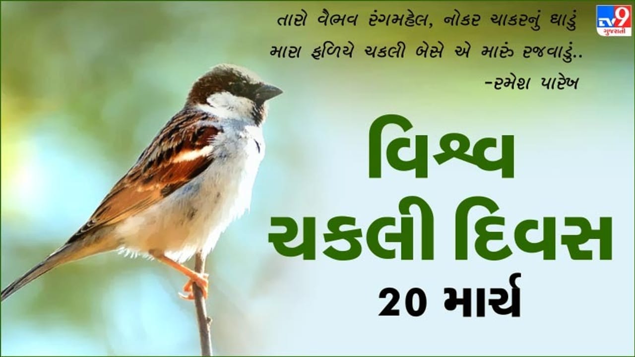 World Sparrow Day : આજે છે વિશ્વ ચકલી દિવસ, આ રીતે યુવાનો કરી રહ્યા છે ઉજવણી