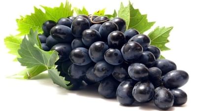 જો તમે Black Grapesનું સેવન નથી કરતા ? તો ફાયદા જાણીને તમે પણ ખાવાની શરુ કરશો કાળી દ્રાક્ષ