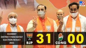 Gujarat Elections Results 2021 : ભાજપે 31 જિલ્લા પંચાયત પર કબજો જમાવ્યો, વર્ષ 2015 કરતાં 23 બેઠકો વધારી જીતી