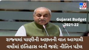Gujarat Budget 2021-22 : રાજ્યમાં પાણીની અછતની વાત આગામી વર્ષોમાં ઇતિહાસ બની જશે: નીતિન પટેલ