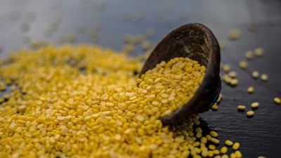 પોષણ મામલે બધી દાળમાં બેસ્ટ છે Moong Dal, જાણીએ તેના અઢળક ફાયદાઓ