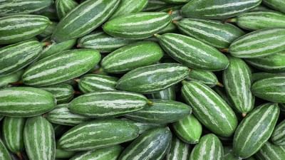 Parwal ખાવાના છે અનેક ફાયદા, વજન ઘટાડવાથી લઈને રોગપ્રતિકારક શક્તિમાં કરે છે વધારો