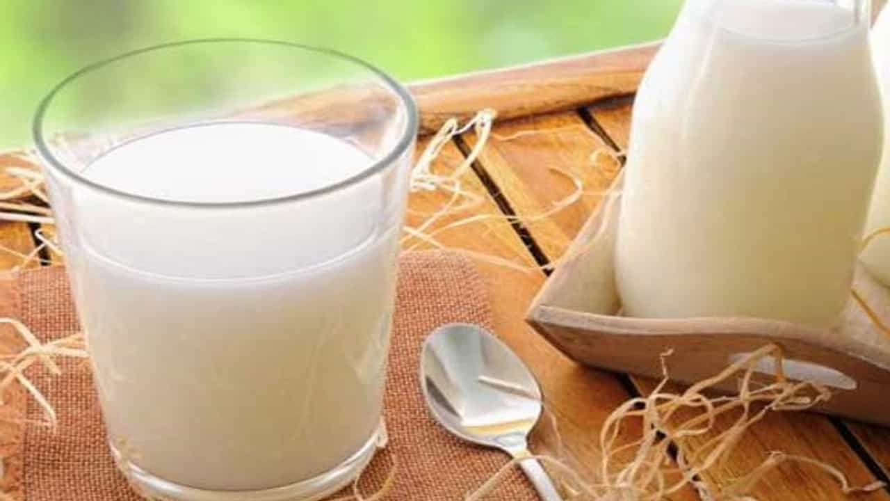 Weight Loss માટે ક્યુ દૂધ છે સારું સ્કિમડ કે ડબલ ટોન્ડ દૂધ, જાણો ફાયદા