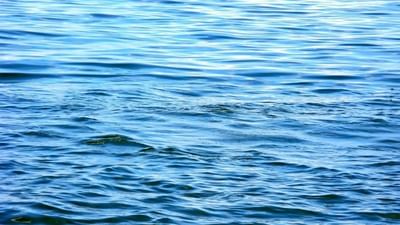 World Water Day 2021 : જાણો શા માટે મનાવાય છે વિશ્વ જળ દિવસ