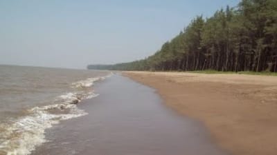 VALSAD : ઉંમરગામના નારગોલ ગામના દરિયાકિનારે વિશ્વના સૌથી મોટા વનનું નિર્માણ કાર્ય કરાશે