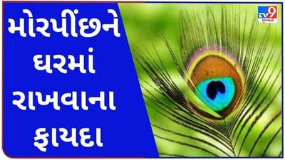 Vastu Tips : ઘરમાં મોર પીંછ રાખશો તો ક્યારેય નહીં થાય પૈસાની સમસ્યા