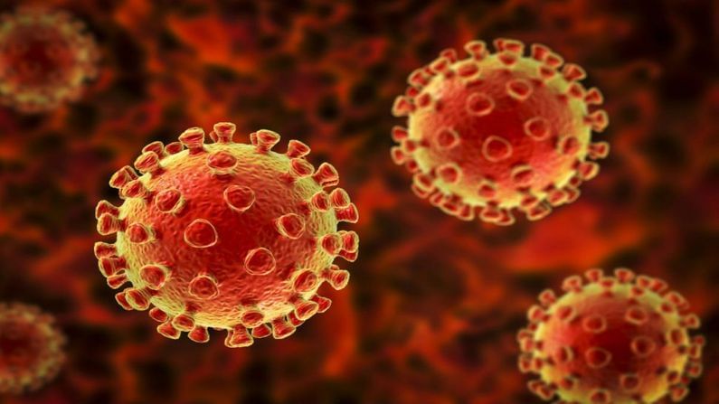 Coronavirus Double Mutant : ત્રણ સ્વરૂપોમાં વિભાજિત થયો કોરોના વાયરસનો ડબલ મ્યુટન્ટ, જાણો શું કહ્યું વૈજ્ઞાનિકોએ