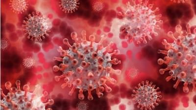 Corona Virus: દુનિયાભરમાં કહેર મચાવી રહ્યા છે કોરોના વાઈરસના 6 વેરિએન્ટ