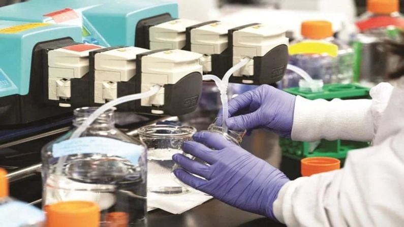 Virus Detecting Chip : અમેરિકાના વૈજ્ઞાનિકોએ બનાવી માઈક્રો ચીપ, શરીરમાં કોરોનાના લક્ષણો બતાવશે