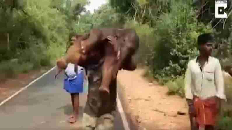 Viral Video: નાના હાથીને ખભે લઈને દોડતા આ વ્યક્તિનો વિડિયો જોયો? કહી ઉઠશો કે આ છે અસલી બાહુબલી