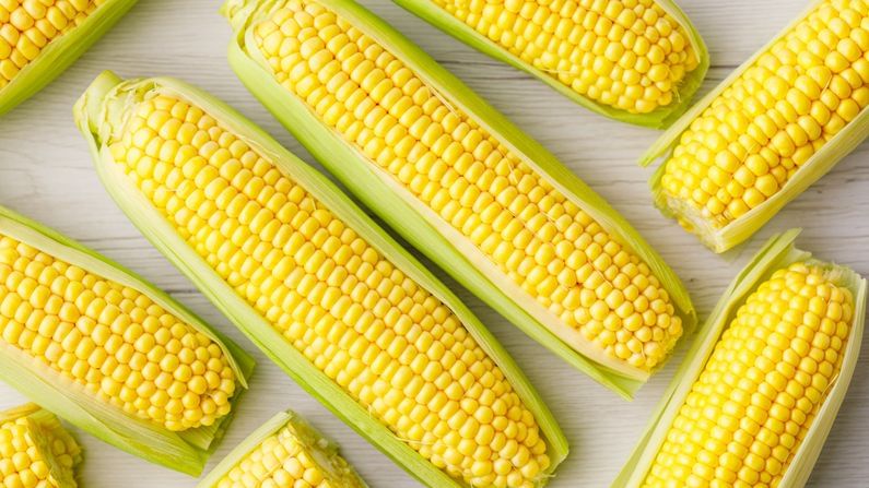 Corn Benefit: મકાઈના દાણા સ્વાસ્થ્ય માટે બેહદ ફાયદેમંદ, ડાયેટમાં આ રીતે કરો શામેલ