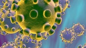 Coronavirus Update : કોરોનાનો વધતો કહેર, ખેડબ્રહ્મામાં 51 લોકો કોરોના પોઝિટીવ