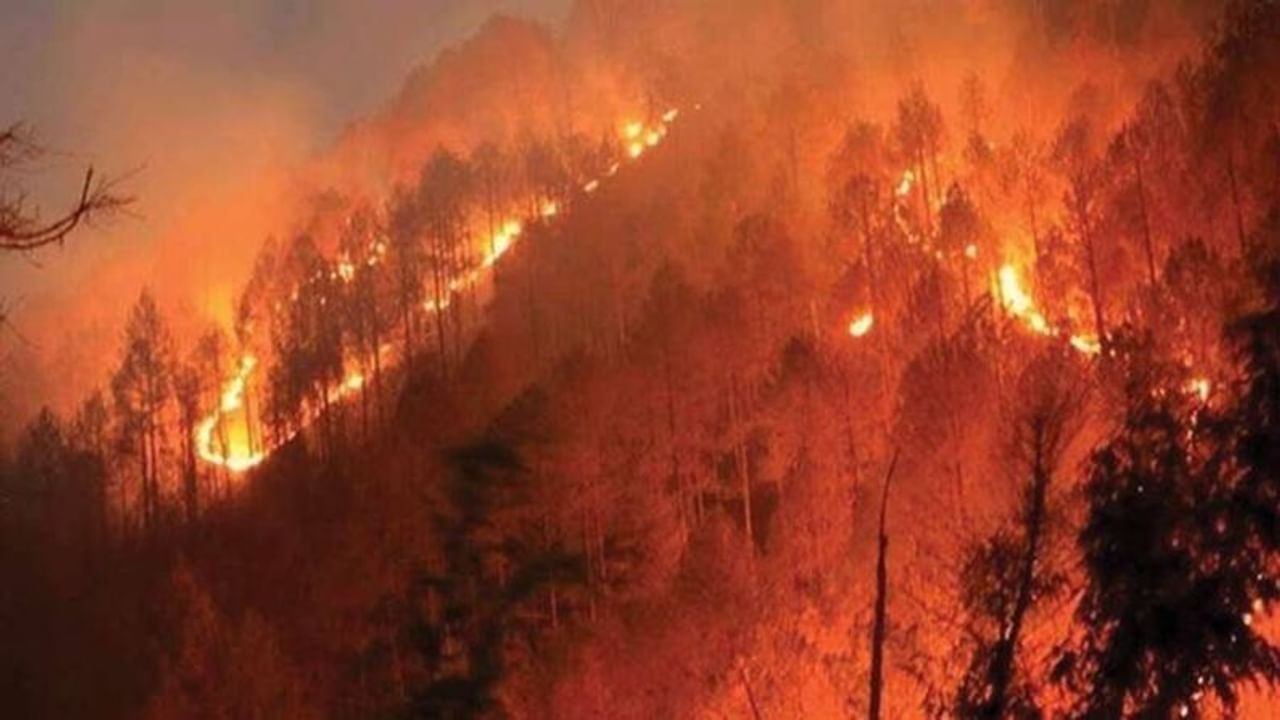 મિઝોરમના જંગલમાં શનિવારથી આગ લાગેલી છે. આ આગ લુંગલેઈ, સેરછિપ, લોન્ગટ્ટલાઈ અને હનથિયાલના જંગલો સુધી ફેલાઈ ગઈ હતી. જો કે હાલમાં આગ કાબૂમાં લેવાઇ ગઇ છે. 