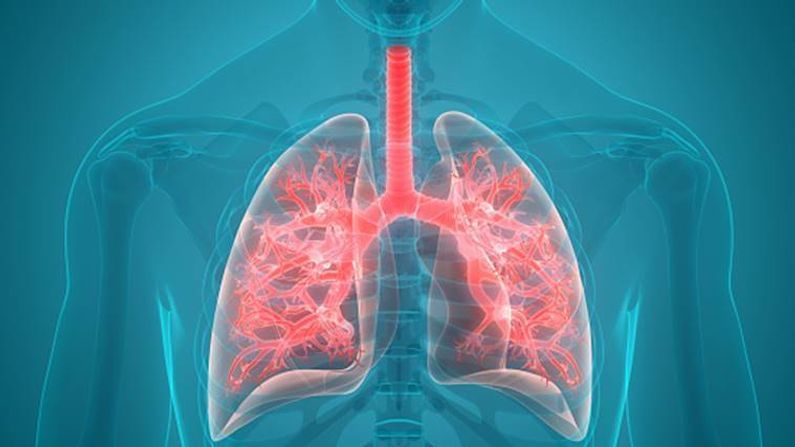 Lungsને સ્વસ્થ રાખવા માટે આજે જ ડાયેટમાં સામેલ કરી શકો છો આ વસ્તુ