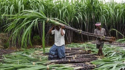 પેટ્રોલમાં ઇથેનોલ મિશ્રણના સરકારના નિર્ણયથી સુગરના શેર્સમાં મીઠાશ આવી, જાણો નિર્ણયથી શું પડશે અસર