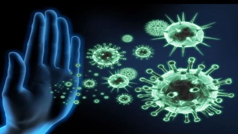 GOOD NEWS : શરદીનો સામાન્ય વાયરસ કોરોના વાયરસને ખત્મ કરી શકે છે, વૈજ્ઞાનિકોનો દાવો