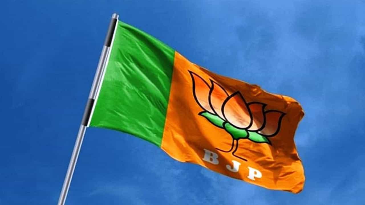 5 State Assembly Election Results 2021 LIVE: આસામમાં ભાજપે જીતની ઉજવણી શરૂ કરી તો પુડુચેરીમાં પણ બની શકે છે ભાજપની સરકાર