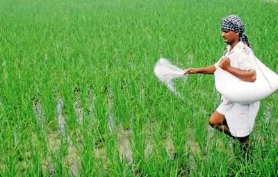 ખેડૂતોને થઈ શકે છે મુશ્કેલી, રાજ્યમાં સરકારી કંપનીઓએ ઉત્પાદન બંધ કરતાં ખાતરની અછત સર્જાઈ