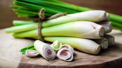 આ પ્લાન્ટના તેલમાંથી બને છે સેનિટાઈઝર, ઓછી મહનતે વધારે નફો મેળવી રહ્યા છે ખેડૂતો