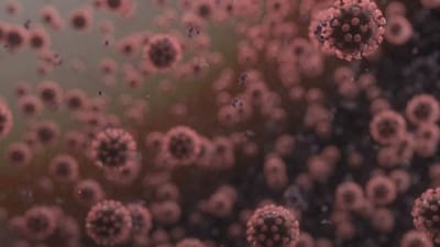 Corona : વૈજ્ઞાનિકોએ તૈયાર કરી એન્ટિ વાયરલ થેરેપી,કોરોનાના વાયરલ લોડને 99.9 ટકા ઘટાડવાનો દાવો