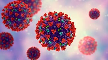 Coronavirus Update : મહામારી સામે આશાનું કિરણ, જાણો ક્યારે ઘટવાનું શરૂ થશે કોરોના વાયરસનું સંક્રમણ