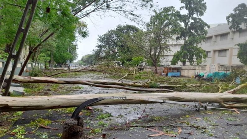 Cyclone Tauktae Updates : વાવાઝોડા તાઉ તે એ મચાવી તબાહી, 3ના મોત, 2437 ગામમાં અંધારપટ, 40 હજાર વૃક્ષો ધરાશાયી, 196 રસ્તા બંધ, 16500 મકાનો-ઝુપડા ક્ષતિગ્રસ્ત