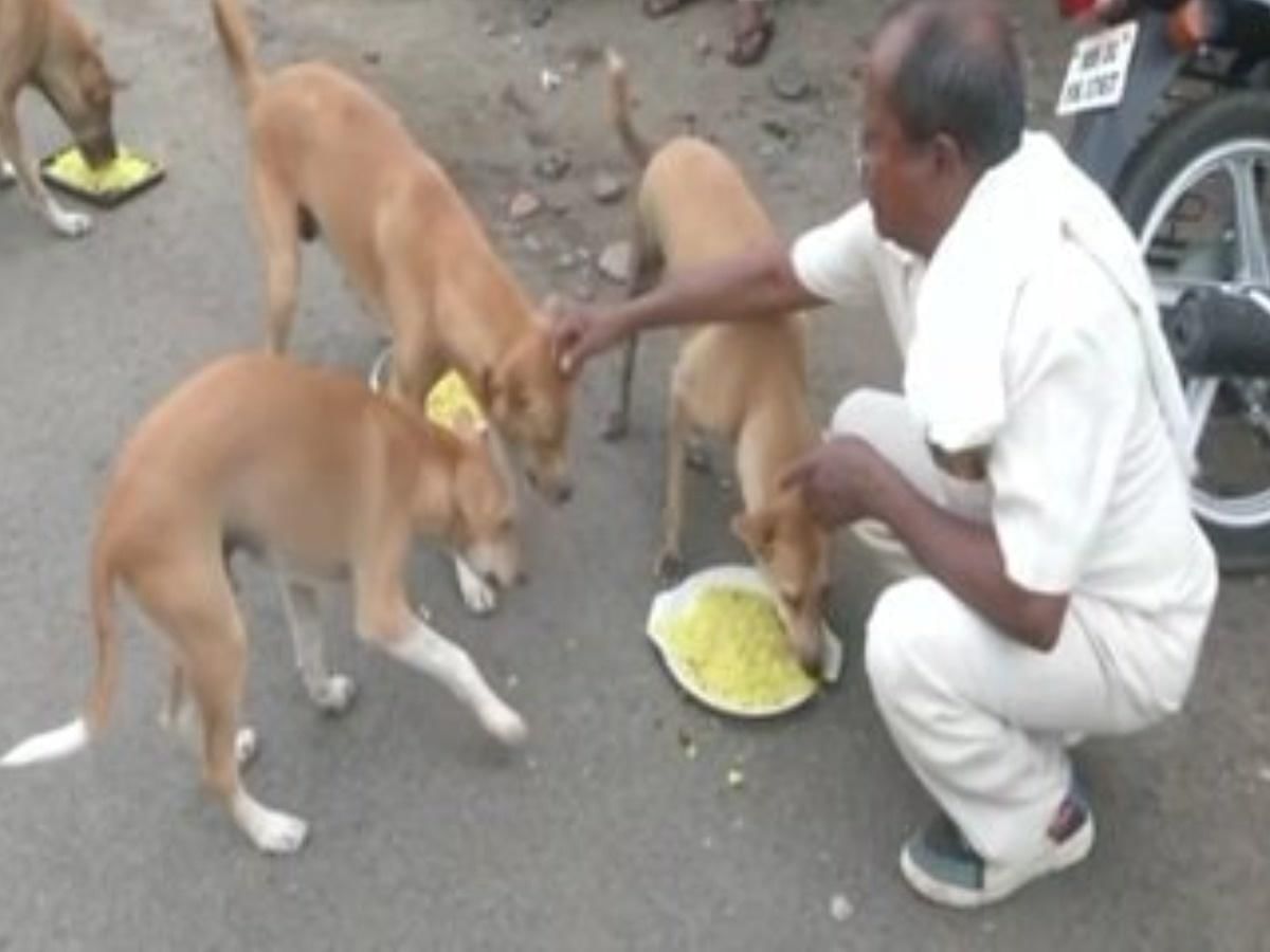 Nagpur Positive News : નાગપુરના પ્રાણી પ્રેમી રંજીતનાથનું આ કાર્ય જોઇ આપ પણ કહેશો વાહ !