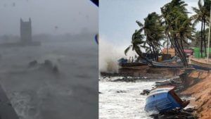 Cyclone Tauktae : ગુજરાતના દરિયાકાંઠાના વિસ્તારોમાં રેડ એલર્ટ, જાણો હવામાન વિભાગ દ્વારા જાહેર કરાતા વિવિધ એલર્ટ